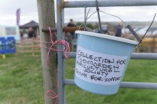 _7513331-2.jpg _7513331-2.jpg