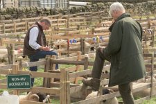 _7513514.jpg _7513514.jpg