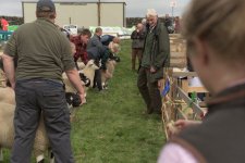 _7513418.jpg _7513418.jpg