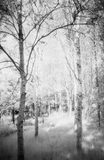 2021-08-28-konica750-t90-13.jpg 2021-08-28-konica750-t90-13.jpg