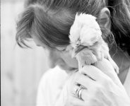 2021-08-31-hp5at400-rb67-08.jpg 2021-08-31-hp5at400-rb67-08.jpg