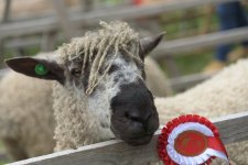 _7513668.jpg _7513668.jpg