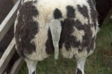 _7513666.jpg _7513666.jpg