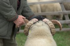 _7513645.jpg _7513645.jpg