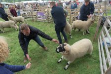 _7513375.jpg _7513375.jpg