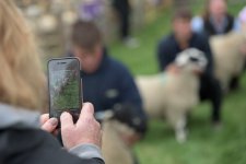 _7513589.jpg _7513589.jpg