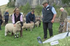 _7513559.jpg _7513559.jpg