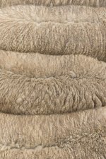 _7513546.jpg _7513546.jpg