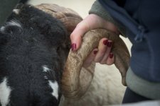 _7513540.jpg _7513540.jpg