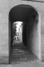 2018-09-05-0083-copy-tp.jpg 2018-09-05-0083-copy-tp.jpg