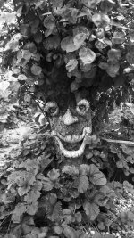 1609_017 copy.jpg 1609_017 copy.jpg