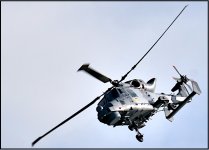 Royal Navy Wildcat Helicopter Sidmouth Air Show 2021 G9 P1013461.JPG