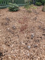 20210904_123125.jpg 20210904_123125.jpg