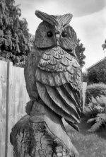 2108APMXBW03 Owl.jpg