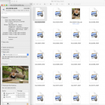 Screenshot 2021-09-05 at 13.57.59.png