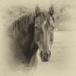 Week 35 - CHOICE.jpg