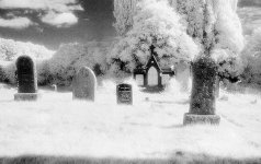 2021-08-13-0038-copy-tp-v1.jpg 2021-08-13-0038-copy-tp-v1.jpg