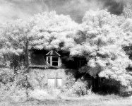 2021-08-13-0044-copy-tp.jpg 2021-08-13-0044-copy-tp.jpg