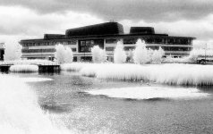 2021-08-13-0049-copy-tp-v2.jpg 2021-08-13-0049-copy-tp-v2.jpg