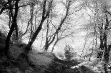 2021-08-30-0086-copy-tp.jpg 2021-08-30-0086-copy-tp.jpg