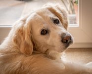 Social Media-0490.jpg Social Media-0490.jpg