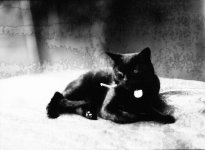 2021-09-09-645n-washiI-02.jpg 2021-09-09-645n-washiI-02.jpg