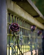 Sept 13-21 (1 of 1)-2.jpg