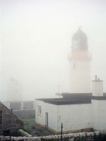 000000500007-copy-tp.jpg 000000500007-copy-tp.jpg