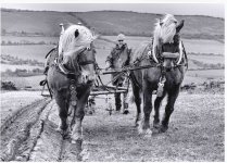 untitled.jpg untitled.jpg