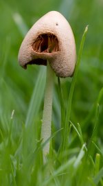 294A7222-Edit-Enhanced.jpg 294A7222-Edit-Enhanced.jpg