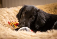 Social Media-0563.jpg Social Media-0563.jpg