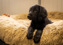 Social Media-0578.jpg Social Media-0578.jpg