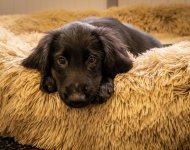 Social Media-0581.jpg Social Media-0581.jpg