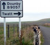 319FAC7F-9166-4AD5-8B2F-10629A116575.jpeg 319FAC7F-9166-4AD5-8B2F-10629A116575.jpeg