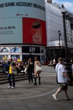 Picadilly crop.jpg Picadilly crop.jpg