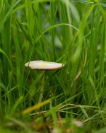 Sept 18-21 (1 of 1).jpg