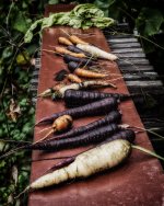 Sept 18-21 (1 of 1)-12.jpg