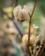 Sept 18-21 (1 of 1)-9.jpg