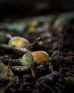 Sept 18-21 (1 of 1)-14.jpg