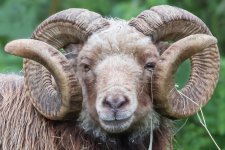 Week 37 - Natural.jpg