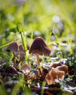 Sept 23-21 (1 of 1)-10.jpg