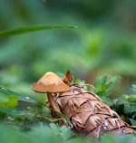 Sept 23-21 (1 of 1)-7.jpg