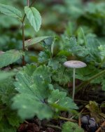 Sept 23-21 (1 of 1)-3.jpg