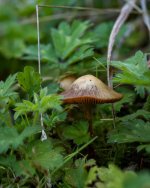 Sept 23-21 (1 of 1)-2.jpg