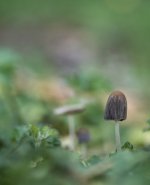 Sept 23-21 (1 of 1)-8.jpg