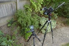 _DSC5086 resize.JPG _DSC5086 resize.JPG