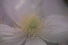 Whiter.jpg Whiter.jpg