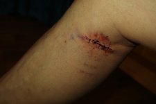 IMG_7086.JPG IMG_7086.JPG