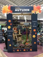 Week 38 - Autumn.jpg