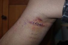 Dsc 12.JPG Dsc 12.JPG